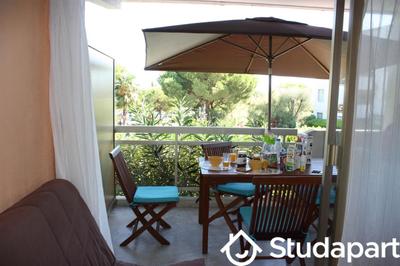 Appartement - 24 m² - 1 pièce