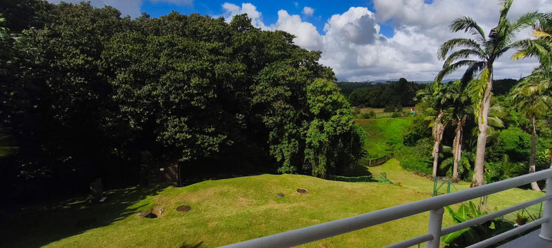 Appartement - 59 m² - 2 pièces