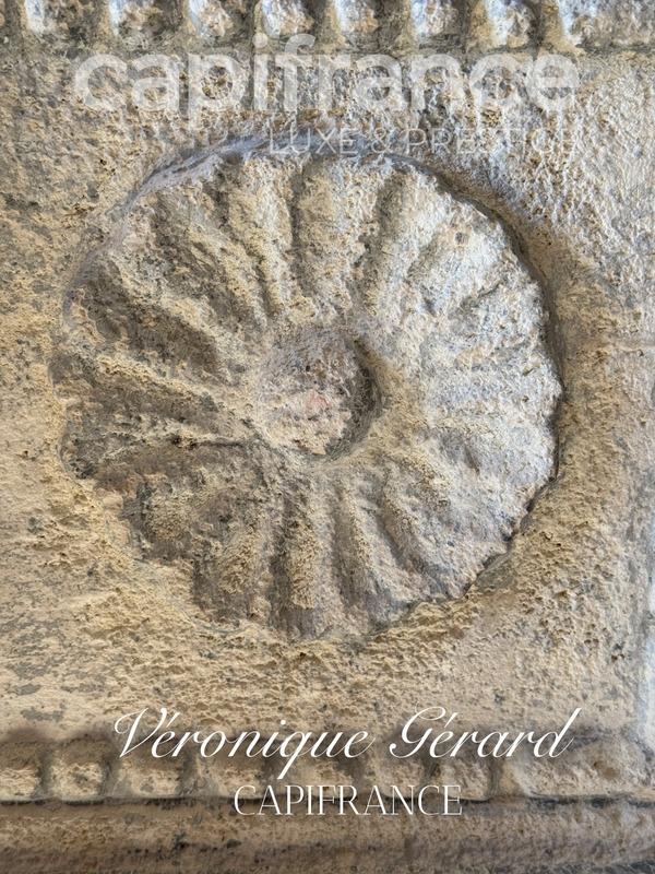 Propriété - 310 m² - 8 pièces