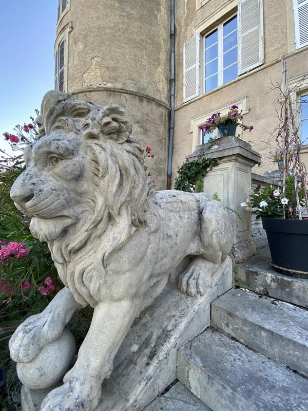 Château - 4 200 m² - 72 pièces