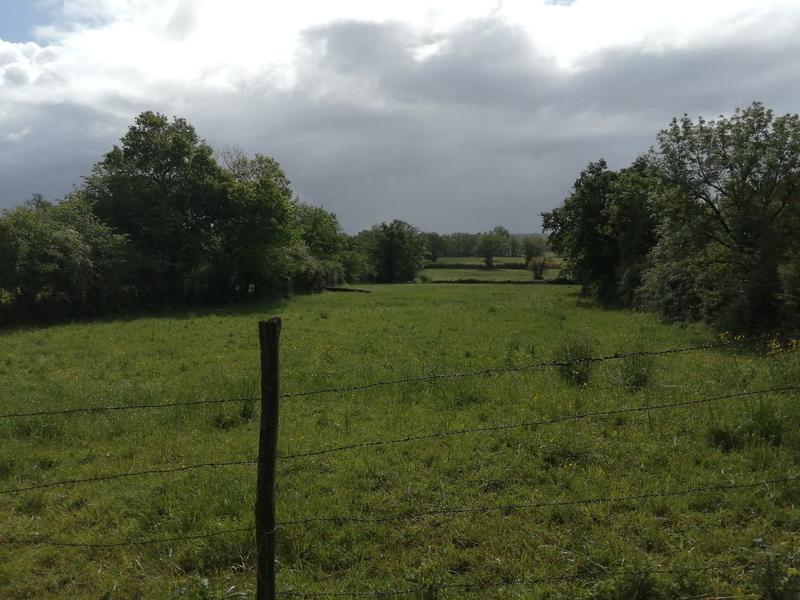 Propriété - 1 pièce