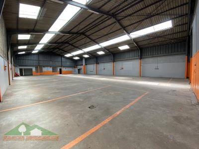 Entrepôt - 585 m² - 3 pièces