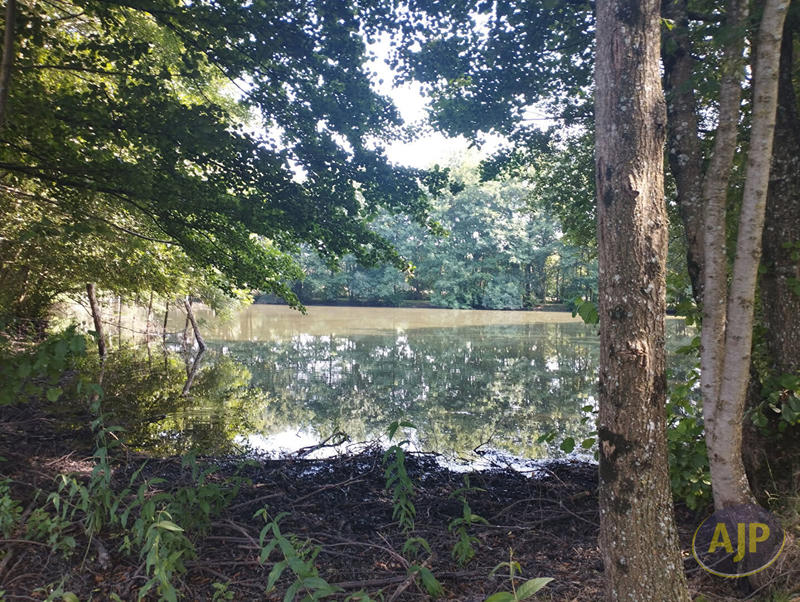 Terrain - 11 165 m²