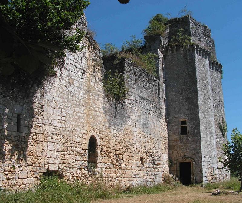 Visite guidée et fauconnerie - Châteaux en fête