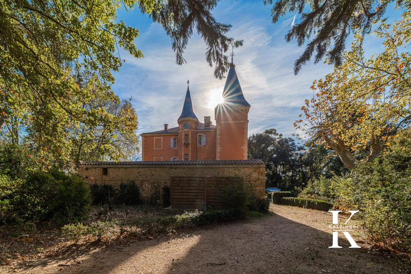 Château - 1 450 m² - 28 pièces