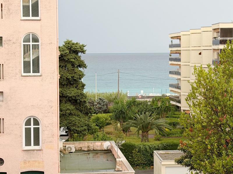 Studio - 24 m² - 1 pièce