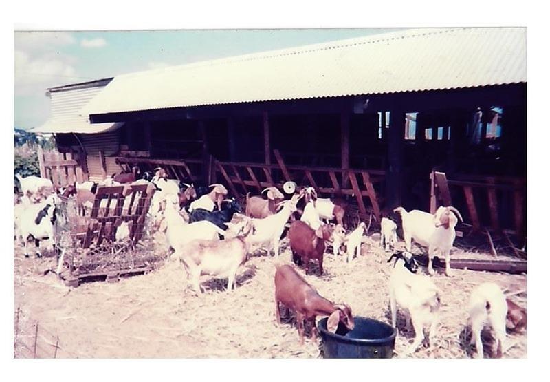 Terrain agricole - 167 518 m²