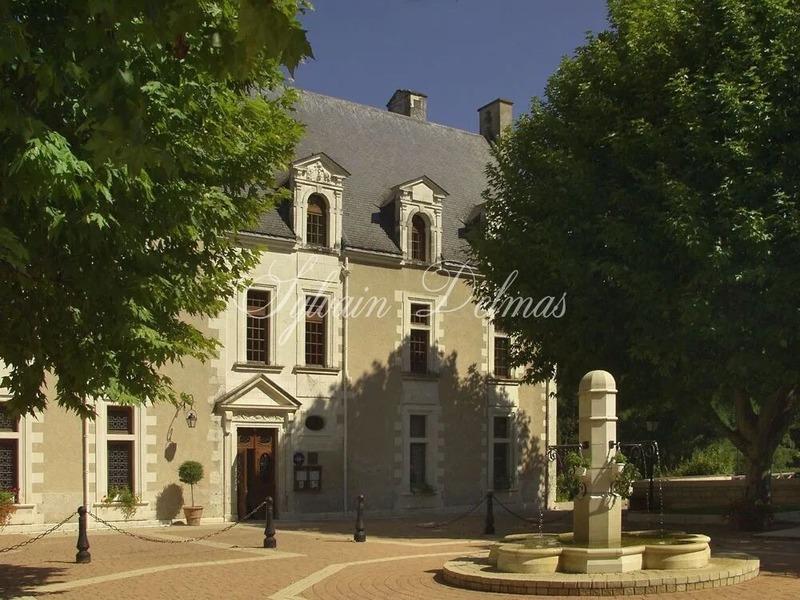 Château - 2 000 m² - 50 pièces