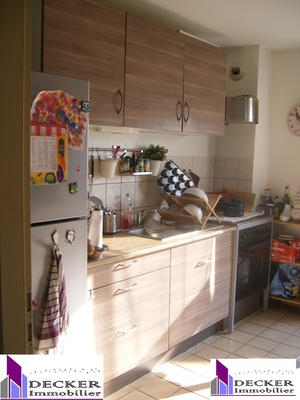 Appartement - 50 m² - 2 pièces