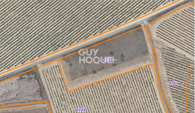 Terrain de loisirs - 3 020 m²