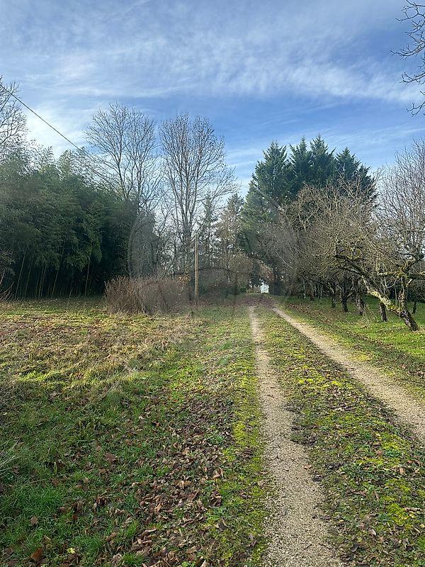 Maison de campagne - 84 m² - 4 pièces