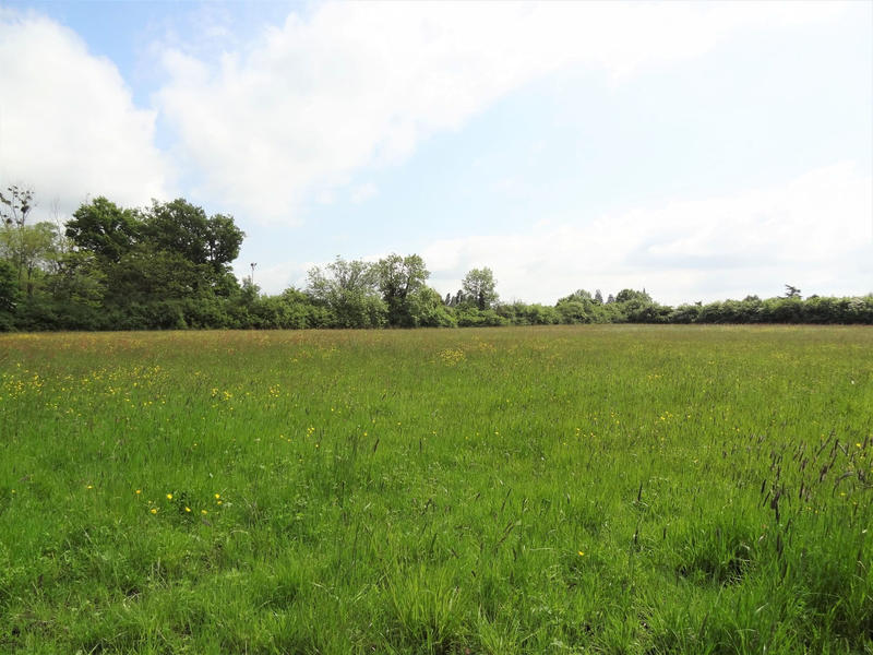 Terrain - 18 805 m²