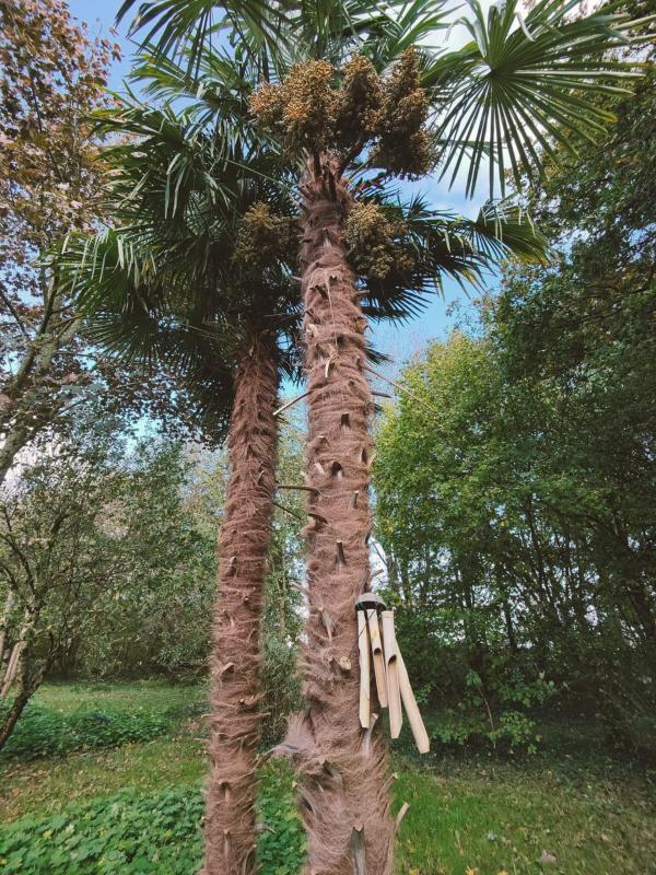 Maison de campagne - 160 m² - 6 pièces