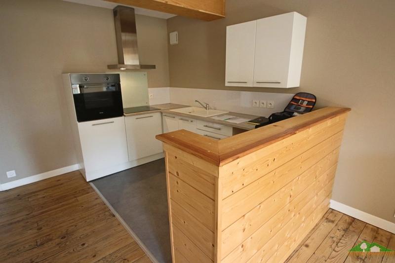 Appartement ancien - 61 m² - 2 pièces