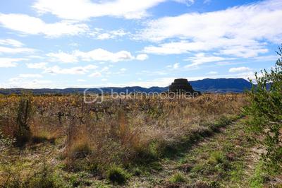 Terrain agricole - 23 150 m²