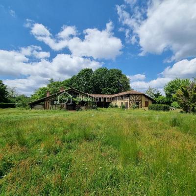 Corps de ferme - 320 m² - 10 pièces