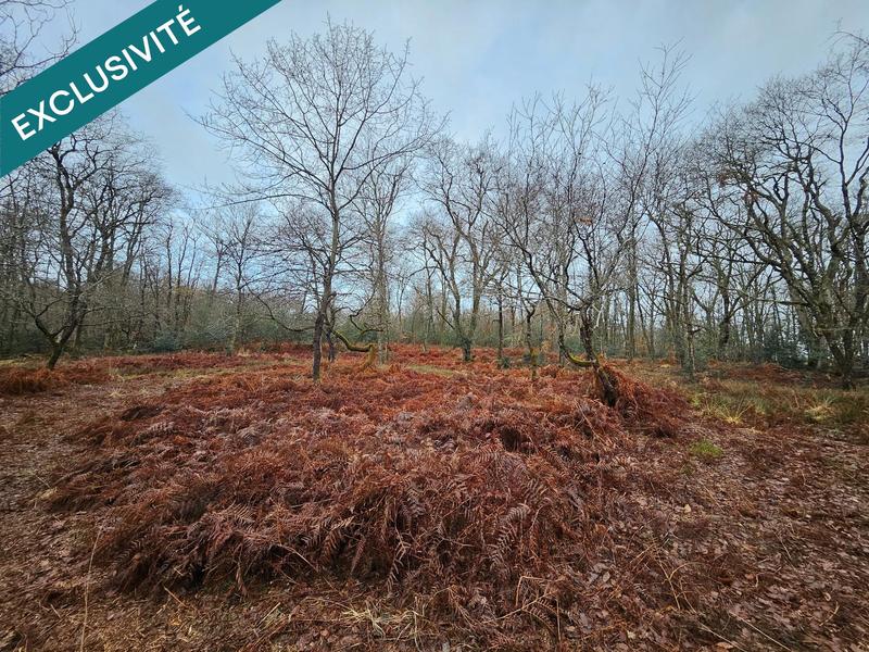 Terrain agricole - 9 570 m²