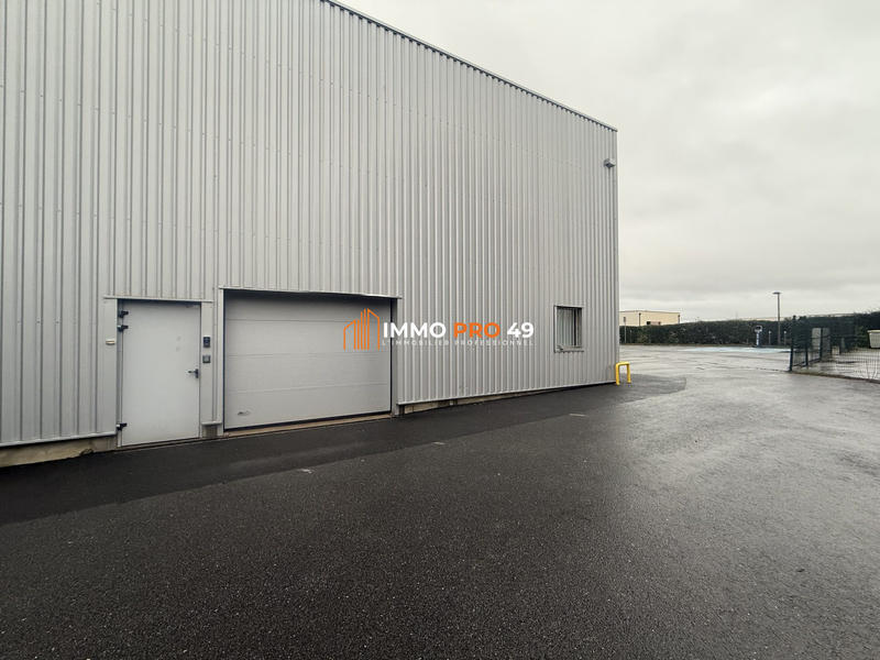Local d'activités - 280 m²