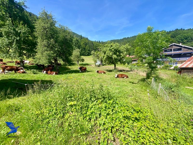 Terrain - 723 m²