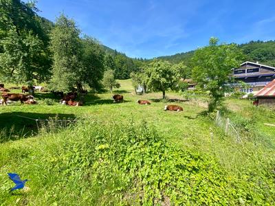 Terrain - 723 m²
