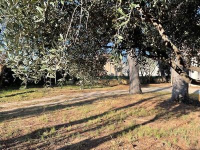 Terrain constructible - 440 m²