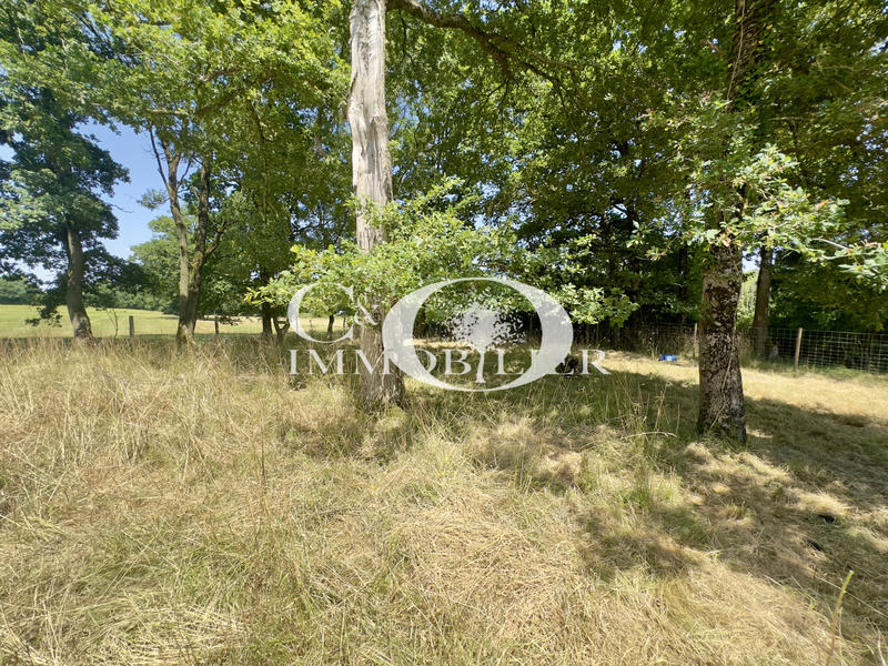 Maison - 138 m² - 5 pièces