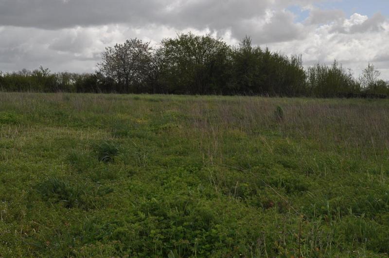 Terrain constructible - 4 979 m²