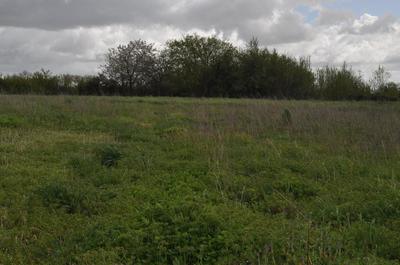 Terrain constructible - 4 979 m²