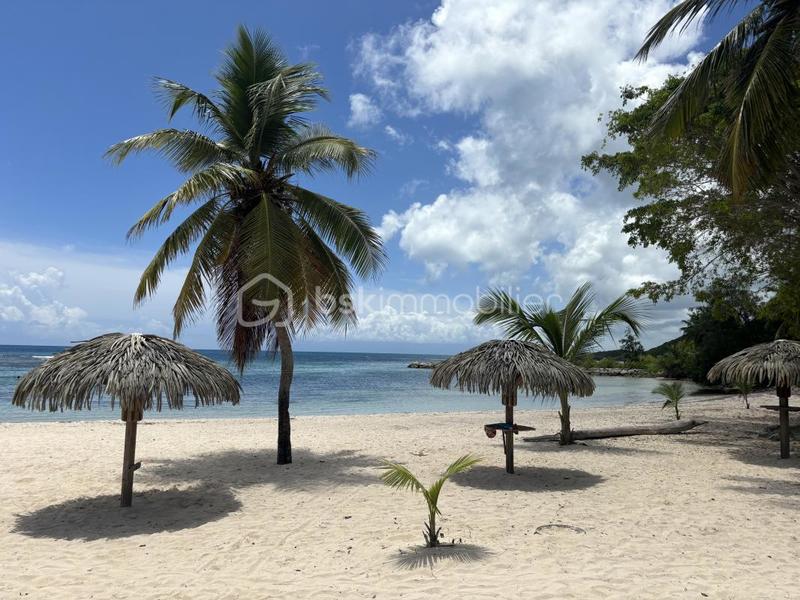 Appartement - 35 m² - 1 pièce