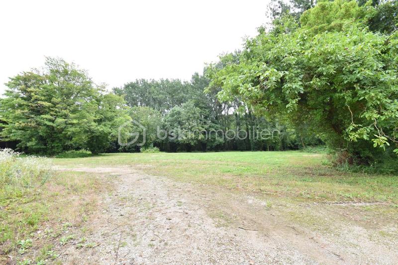 Local d'activité / Entrepôt - 2 600 m² - 10 pièces