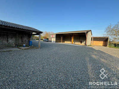 Entrepôt - 1 084 m²