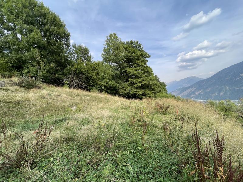 Terrain - 811 m²