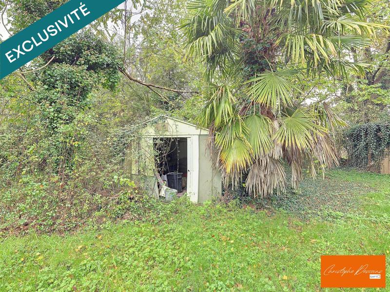 Terrain - 13 000 m²