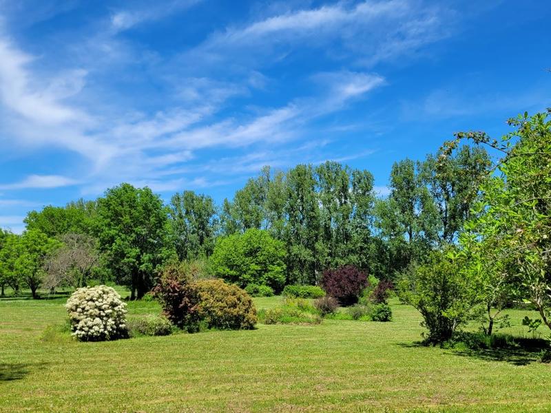 Balade commentée dans le parc botanique du Château de Neuvic - Châteaux en Fête
