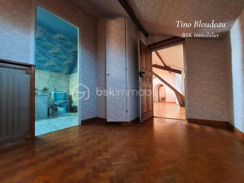 Maison ancienne - 305 m² - 13 pièces