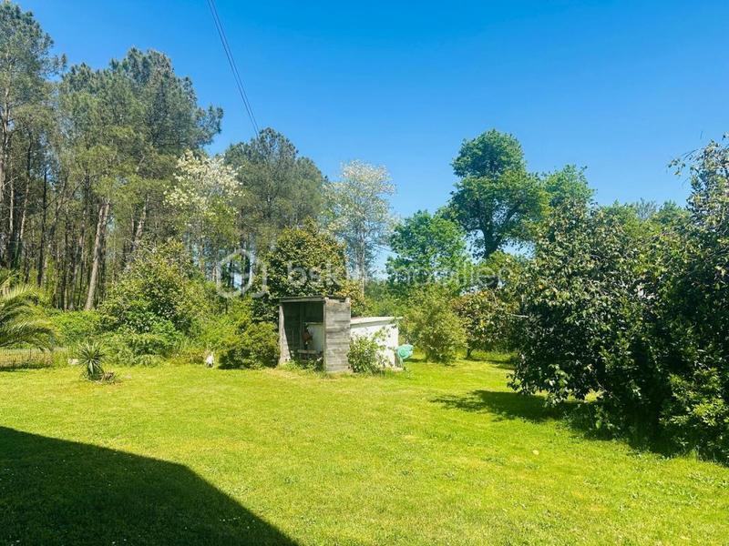 Ferme - 140 m² - 5 pièces