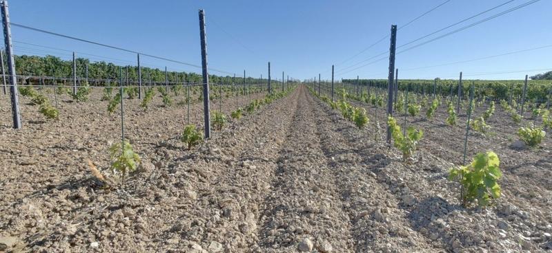 Manoir - 980 m² - 12 pièces