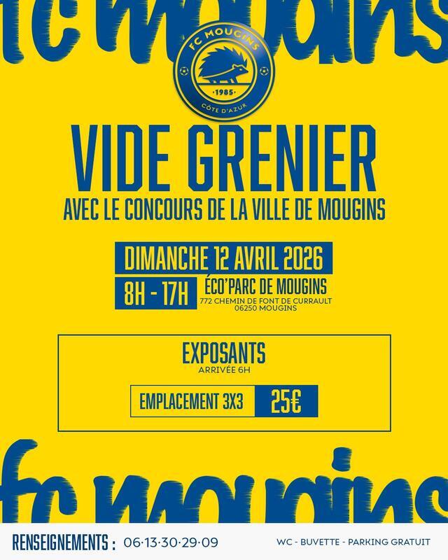 Vide-grenier