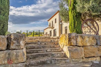 Propriété viticole - 230 m² - 7 pièces