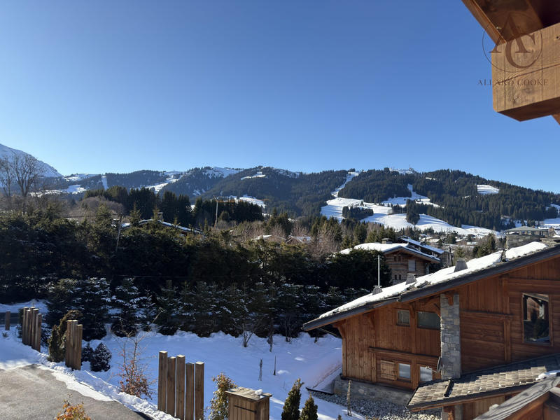 Châlet - 320 m² - 9 pièces