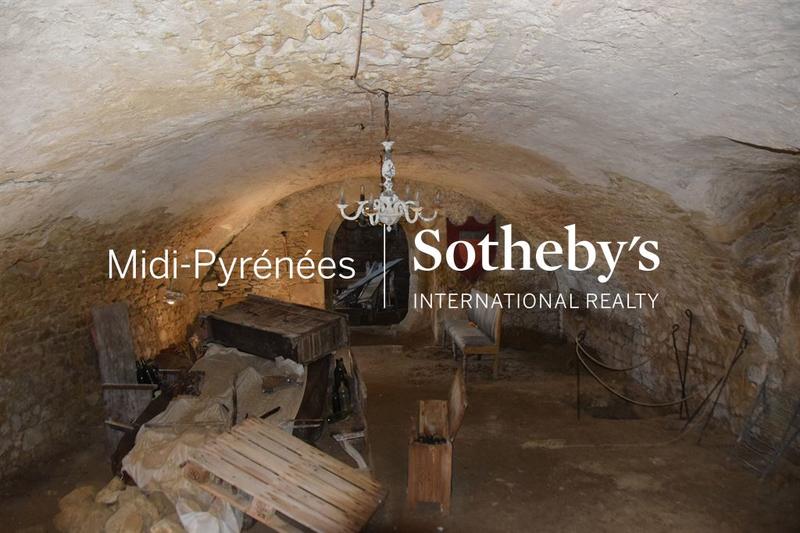 Château - 555 m² - 10 pièces