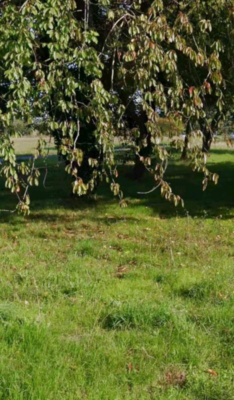 Terrain constructible - 301 m²