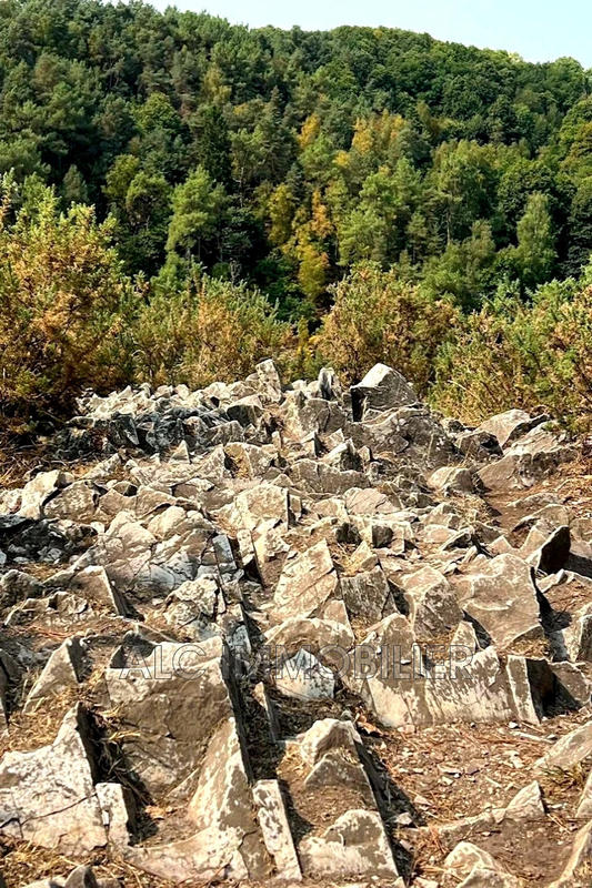 Fonds de commerce - Magasins