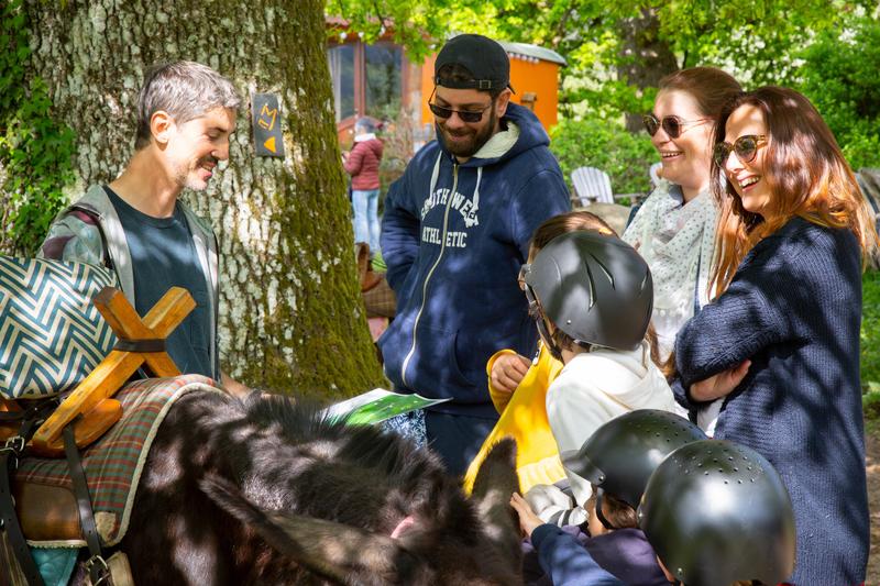 J'apprends à m'occuper de mon âne