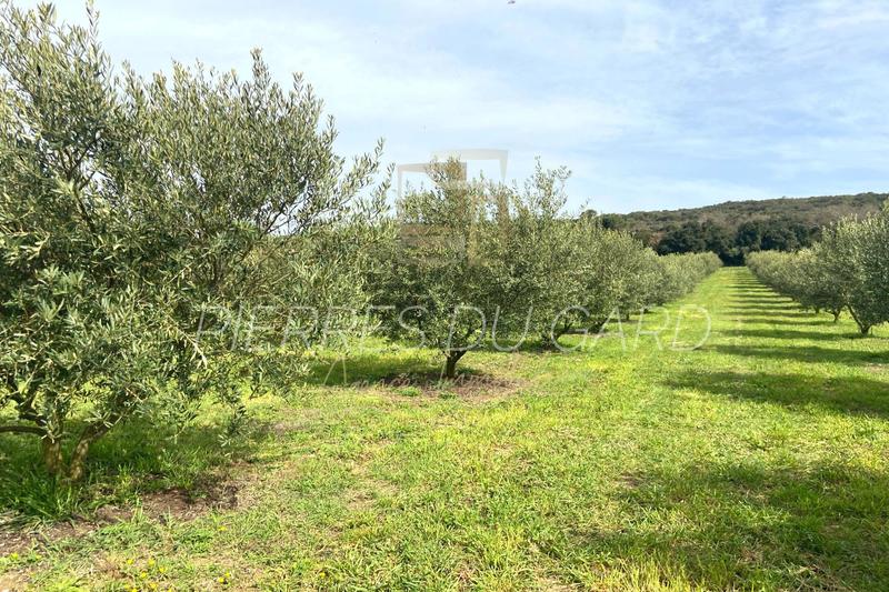 Terrain - 12 040 m²