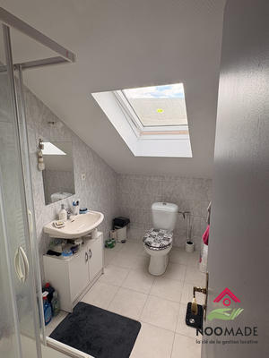 Loft - 45 m² - 1 pièce