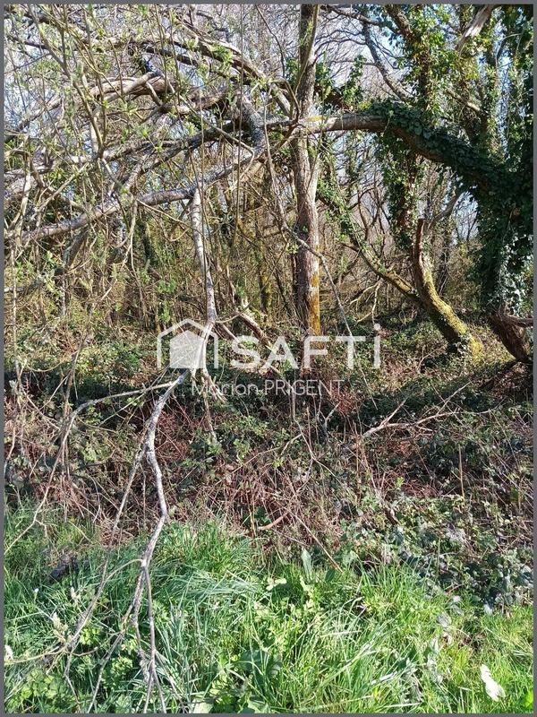 Maison - 77 m² - 5 pièces