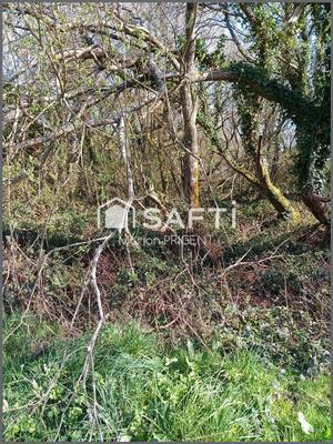 Maison - 77 m² - 5 pièces