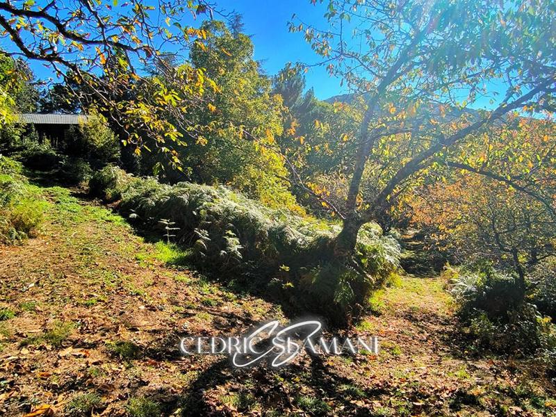 Terrain constructible - 1 729 m²