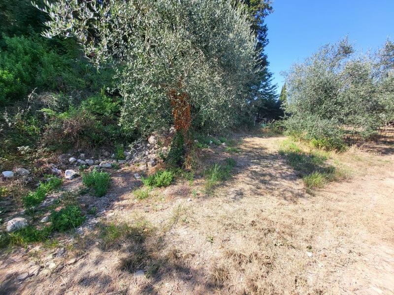 Terrain - 16 415 m²